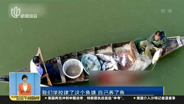 浙江金华职业技术学院:大学捞了1200多斤鱼 全校师生免费吃