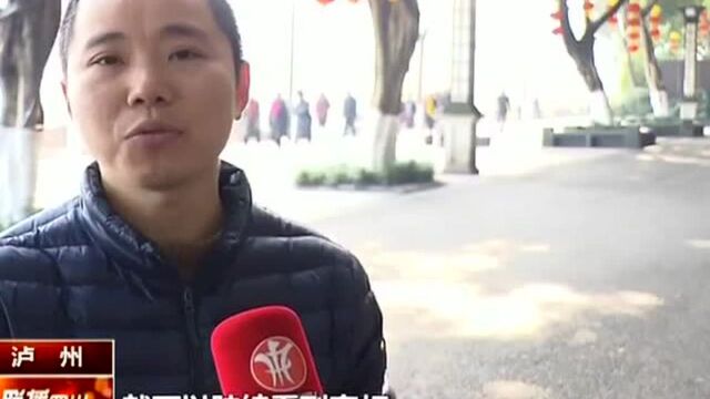 摆金猪挂灯笼 营造浓厚春节氛围