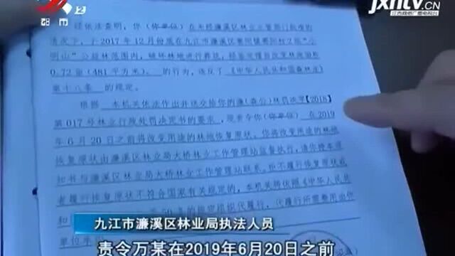 九江濂溪区:庐山保护区内违规墓穴正在清理 当地启动问责程序