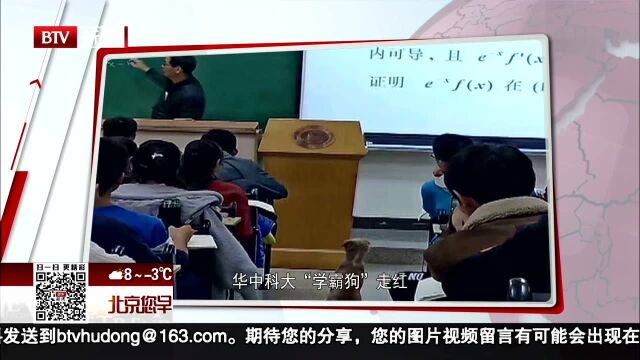 华中科大“学霸狗”走红