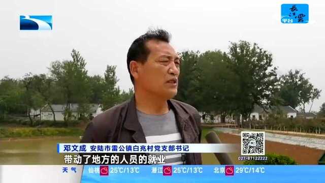 安陆市雷公镇:“石瓦之乡”的绿色崛起