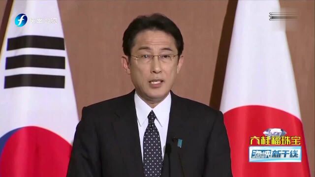 韩国政府完成“慰安妇”基金会的注销手续