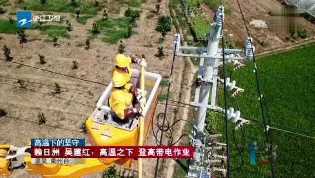 赖日洲 吴建红:高温之下 登高带电作业