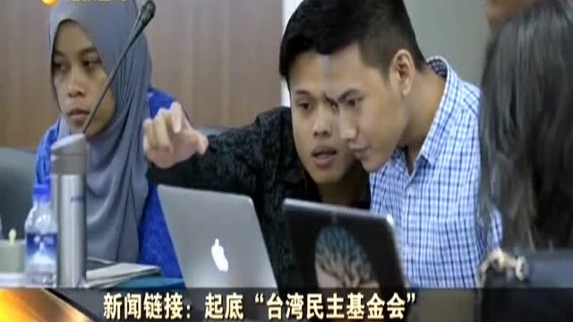 起底“台湾民主基金会”