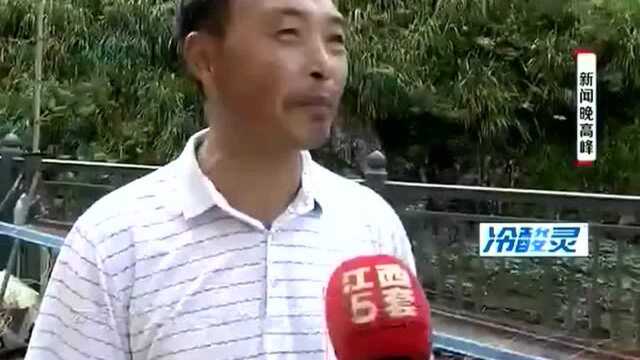 村民没有收到公益林补贴 管委会为何说已经发放了