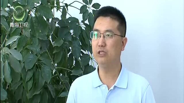 青海:持续高质量推进全省新型城镇化建设