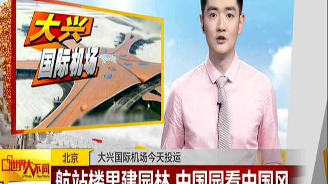 北京:大兴国际机场今天投运——航站楼里建园林 中国园看中国风