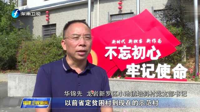 福建:让党支部在基层唱主角 壮大集体经济