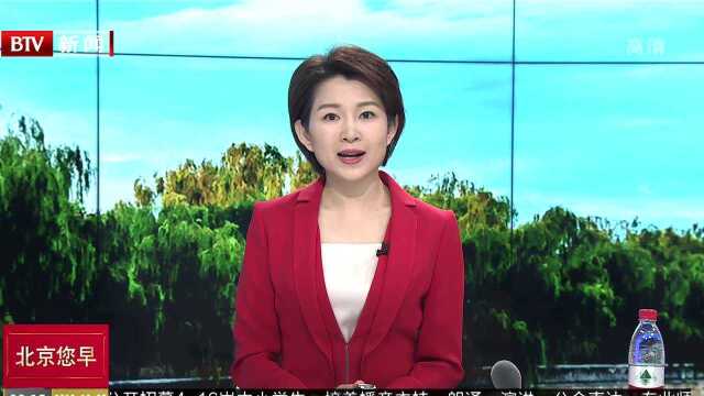 延庆永宁镇35种新品菊花盛开 游客可免费观赏