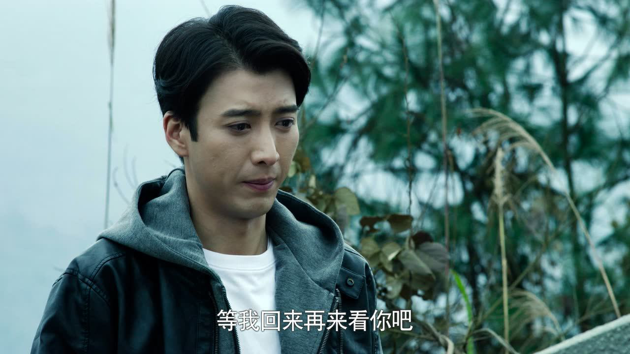 Thumbplayer Poster Plugin Image