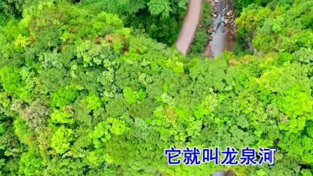 龙泉河母亲河