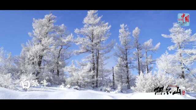 邂逅阿尔山的林海雪原 从白天到黑夜惊艳你的夏天