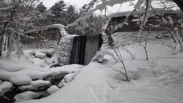 日本的白色世界 一尘不染的粉雪不仅好滑还能治愈心灵