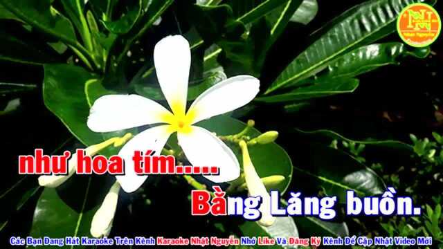 Bằng L䃮g Buồn  Tone Nam