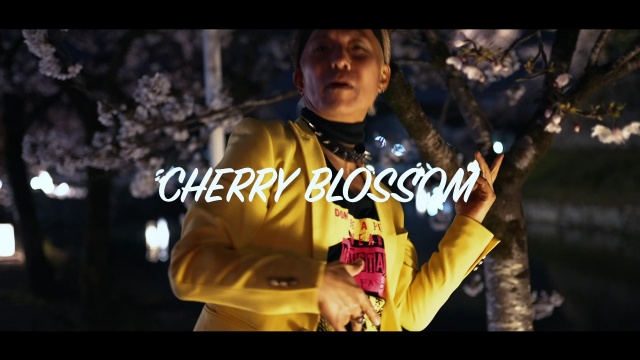 Cherry Blossom