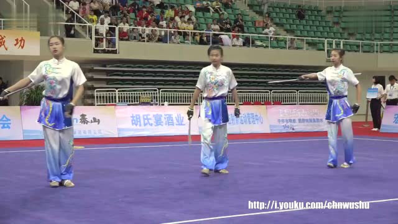 2016年全国武术套路冠军赛 女子三人对练陈禹霏马佳妮沈雨盈(辽宁)第六名