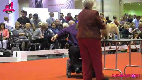 Thumbplayer Poster Plugin Image