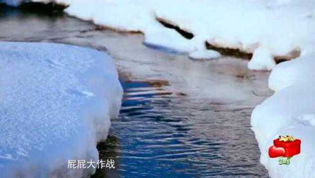 毛主席诗词《沁园春.雪》,北国风光千里冰封,万里雪飘腾讯视频