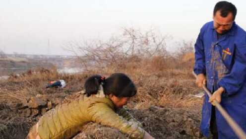 梦境解析，梦见与死人共同挑粪——生命循环与内心深处的隐喻