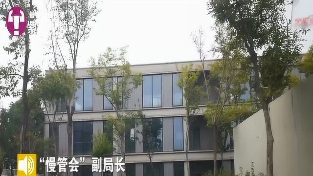 耗资三亿多的高淳“慢城小镇”闲置近2年成“空城”