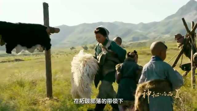 由于鲜卑人的侵犯,一部分党项人远离家园,在河曲之地开始新生活