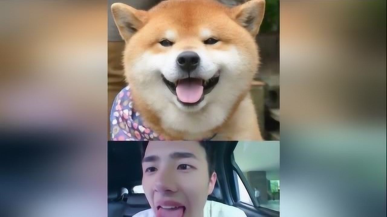 为你推荐自动连播01:28杨紫和肖战在片场的接触太像情侣了吧茶娱茶话