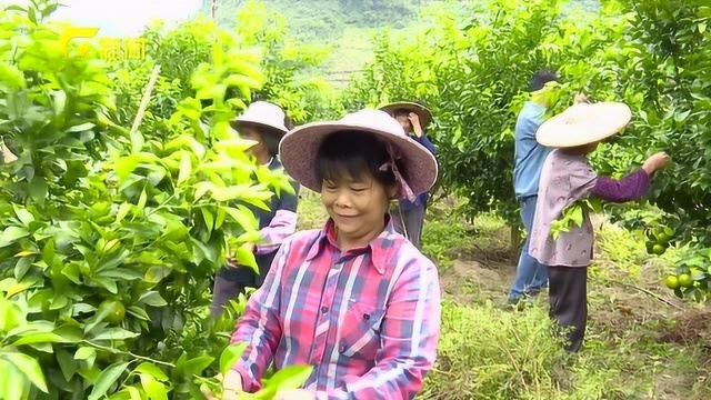 大化:发挥生态优势 推动产业转型升级