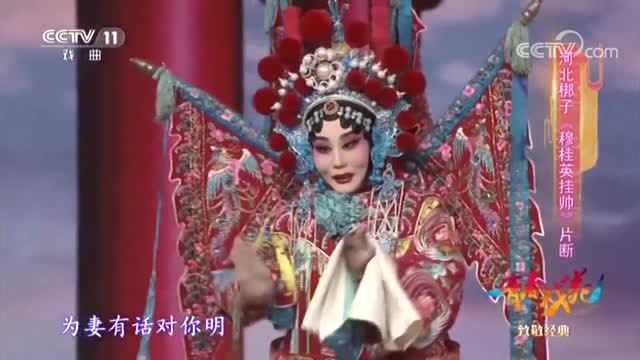 河北梆子《穆桂英挂帅》选段,表演:赵璇