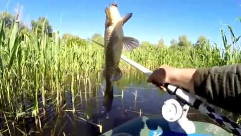 钓鱼视频：蚯蚓做饵，还用瓶药水喷一喷！