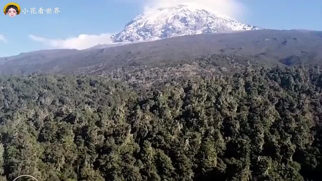 称为“非洲屋脊”的乞力马扎罗山,赤道与雪山成了真正的冰火相融