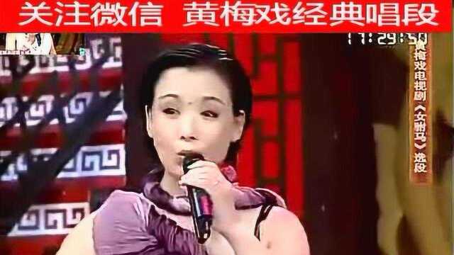 黄梅戏《女驸马》民女名叫冯素贞 韩再芬精选