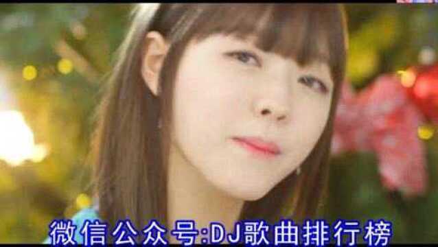 陈雅森《你是我曾经最爱的女人》DJ美女版