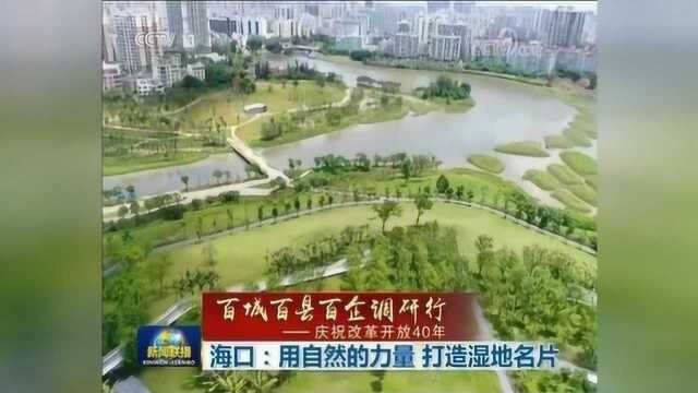 庆祝改革开放40年 海口:用自然的力量 打造湿地名片