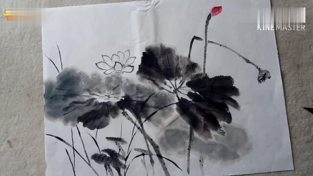 花鸟画启蒙教学演示,荷花的画法