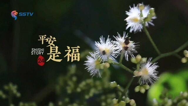 石狮故事24集:平安是福