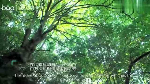 贵州山里拍“广告”第10村——纳雍县 石旮旯村