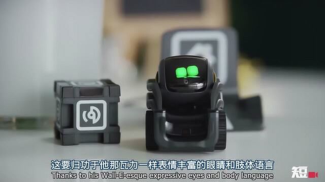 瓦力小可爱?Anki Vector智能机器人展示