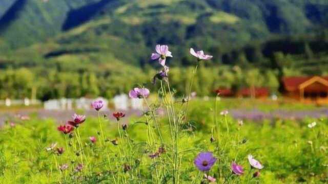 石家庄鹿泉又增加了一处游玩的地方,还真不错