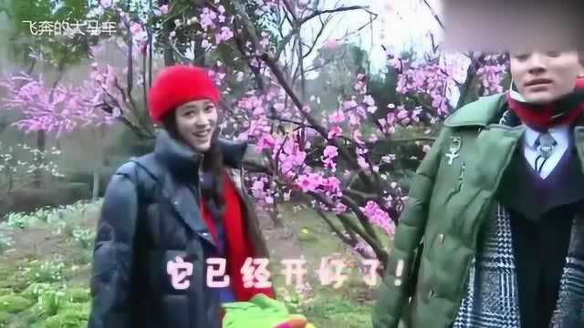 《偏偏喜欢你》花絮:片场的花居然都是假的,贾乃亮陈乔恩的吻戏真逗