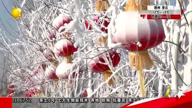 盘锦杨家村有个“冰雪王国”,今冬就来这玩!