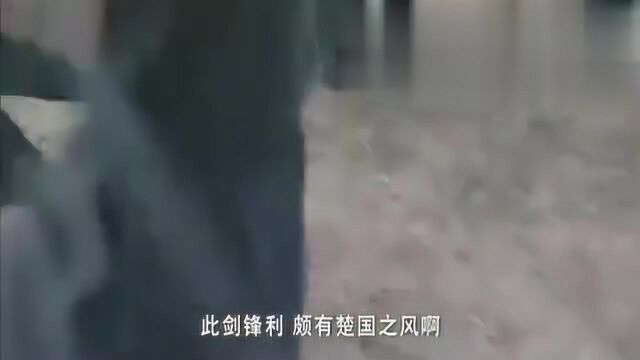 白起遇刺,信陵君魏无忌出手相助,成全了个人之义却于国不利