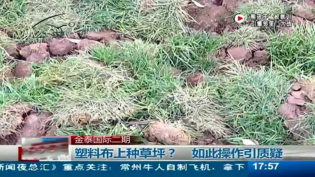 金泰国际二期 塑料布上种草坪 如此操作引质疑