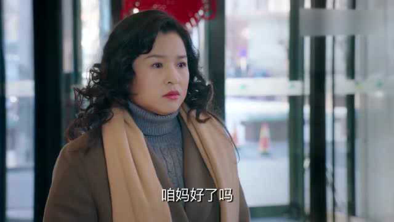 姥姥的饺子馆方亚慧怒斥方亚梅不该坑害苏宇