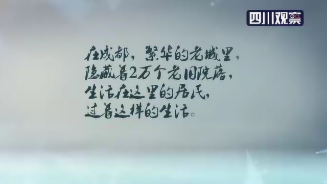 上榜全国典型案例 成都青羊社区治理这样炼成