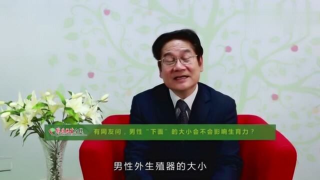 男性器官的大小会不会影响生育力,专家为你一一解答