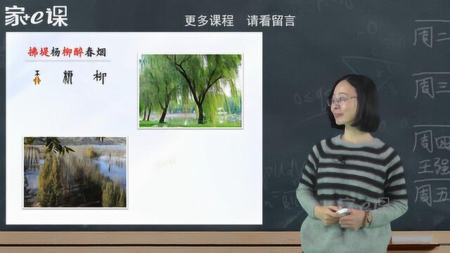 小学语文教育二年级下册课文同步讲解辅导视频——《村居》