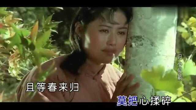 董文华《雁南飞》,电影《归心似箭》高清剪辑版