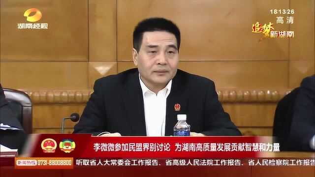 李微微参加民盟界别讨论 为湖南高质量发展贡献智慧和力量