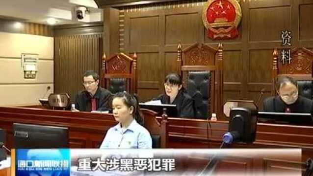 海口:加大各类犯罪活动惩治力度 深入推进平安海口建设