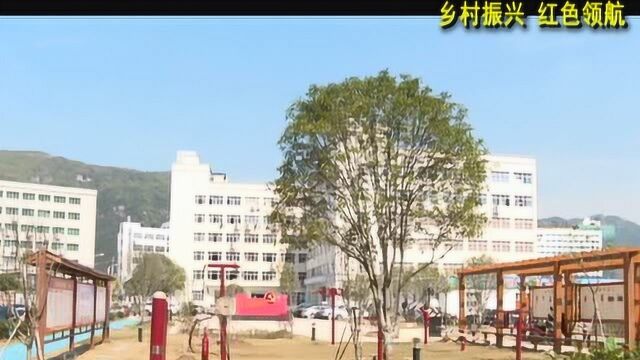 乐清:依托红色引擎 助推乡村巨变